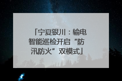 宁夏银川：输电智能巡检开启“防汛防火”双模式