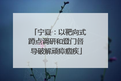 宁夏：以靶向式蹲点调研和登门督导破解顽瘴痼疾