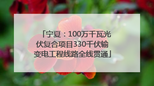 宁夏：100万千瓦光伏复合项目330千伏输变电工程线路全线贯通