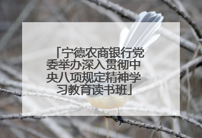 宁德农商银行党委举办深入贯彻中央八项规定精神学习教育读书班