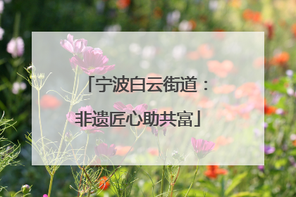 宁波白云街道：非遗匠心助共富