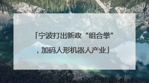 宁波打出新政“组合拳”，加码人形机器人产业