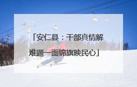 安仁县：干部真情解难题一面锦旗映民心