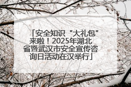 安全知识“大礼包”来啦！2025年湖北省暨武汉市安全宣传咨询日活动在汉举行