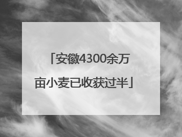 安徽4300余万亩小麦已收获过半