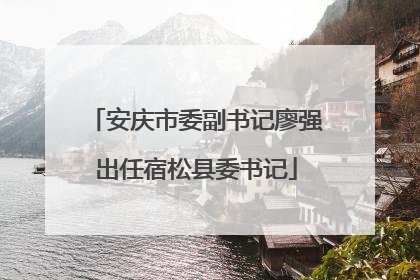 安庆市委副书记廖强出任宿松县委书记
