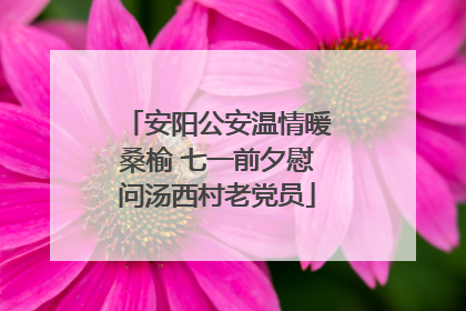 安阳公安温情暖桑榆 七一前夕慰问汤西村老党员