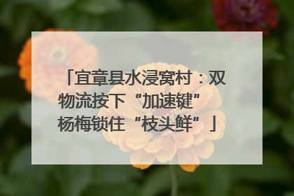 宜章县水浸窝村：双物流按下“加速键” 杨梅锁住“枝头鲜”
