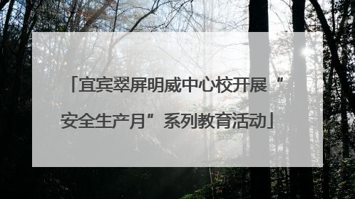 宜宾翠屏明威中心校开展“安全生产月”系列教育活动