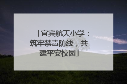 宜宾航天小学：筑牢禁毒防线，共建平安校园