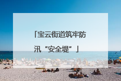 宝云街道筑牢防汛“安全堤”