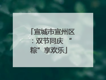 宣城市宣州区：双节同庆 “粽”享欢乐