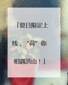 夏日限定上线，“荷”你相遇洪山！