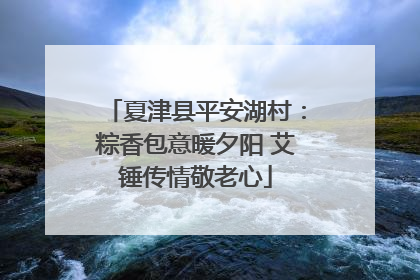 夏津县平安湖村：粽香包意暖夕阳 艾锤传情敬老心