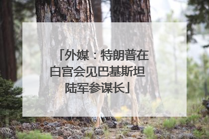 外媒：特朗普在白宫会见巴基斯坦陆军参谋长