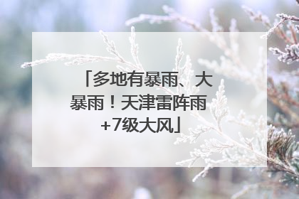 多地有暴雨、大暴雨！天津雷阵雨+7级大风
