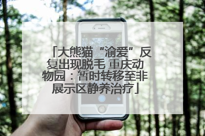 大熊猫“渝爱”反复出现脱毛 重庆动物园：暂时转移至非展示区静养治疗