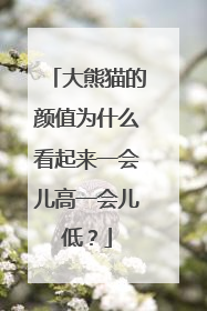 大熊猫的颜值为什么看起来一会儿高一会儿低？