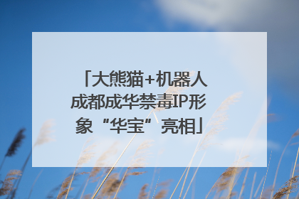 大熊猫+机器人 成都成华禁毒IP形象“华宝”亮相