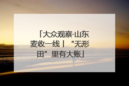 大众观察·山东麦收一线丨“无形田”里有大账