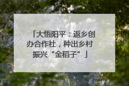大悟阳平：返乡创办合作社，种出乡村振兴“金稻子”