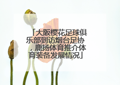 大阪樱花足球俱乐部到访烟台足协，鹿扬体育推介体育装备发展情况