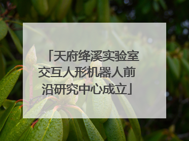 天府绛溪实验室交互人形机器人前沿研究中心成立