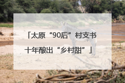太原“90后”村支书十年酿出“乡村甜”