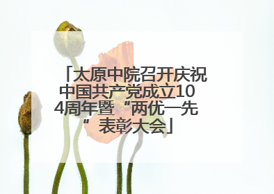 太原中院召开庆祝中国共产党成立104周年暨“两优一先”表彰大会