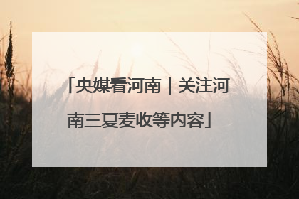 央媒看河南｜关注河南三夏麦收等内容