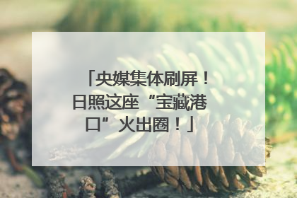 央媒集体刷屏！日照这座“宝藏港口”火出圈！