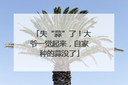 失“蒜”了！大爷一觉起来，自家种的蒜没了