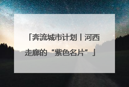 奔流城市计划丨河西走廊的“紫色名片”