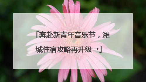 奔赴新青年音乐节，潍城住宿攻略再升级→