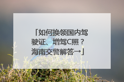 如何换领国内驾驶证、增驾C照？海南交警解答→