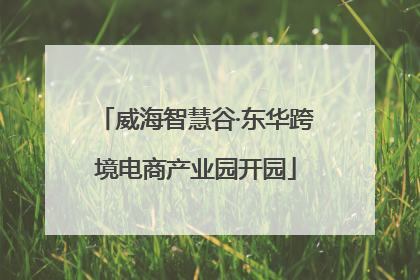 威海智慧谷·东华跨境电商产业园开园