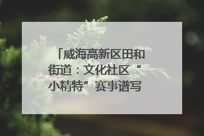 威海高新区田和街道：文化社区“小精特”赛事谱写文化赋能新乐章