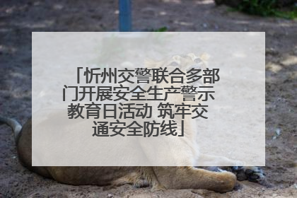 忻州交警联合多部门开展安全生产警示教育日活动 筑牢交通安全防线