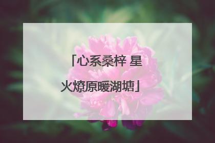 心系桑梓 星火燎原暖湖塘
