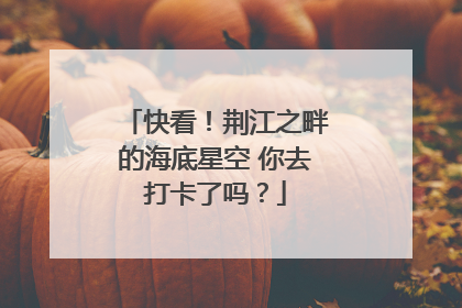 快看！荆江之畔的海底星空 你去打卡了吗？
