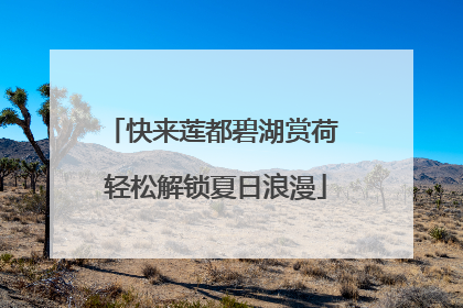 快来莲都碧湖赏荷 轻松解锁夏日浪漫