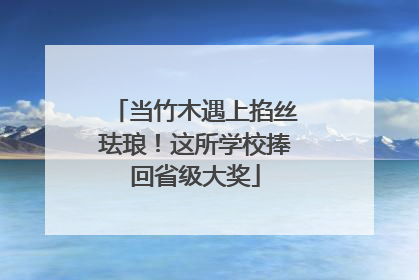 当竹木遇上掐丝珐琅！这所学校捧回省级大奖