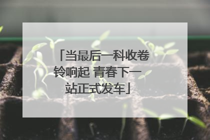 当最后一科收卷铃响起 青春下一站正式发车