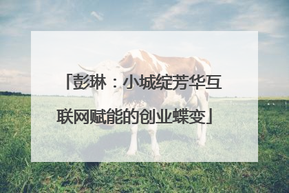 彭琳：小城绽芳华互联网赋能的创业蝶变