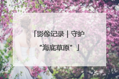 影像记录｜守护“海底草原”