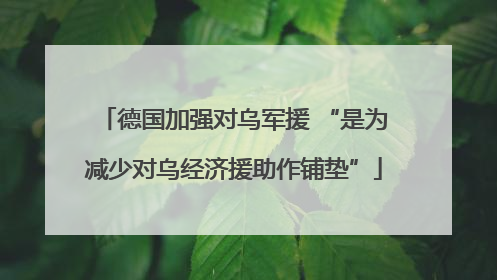 德国加强对乌军援 “是为减少对乌经济援助作铺垫”