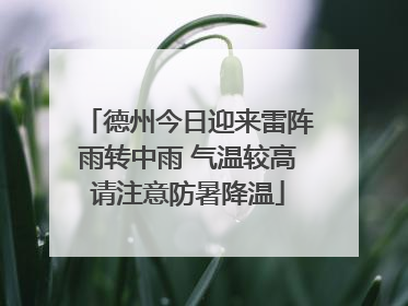 德州今日迎来雷阵雨转中雨 气温较高请注意防暑降温