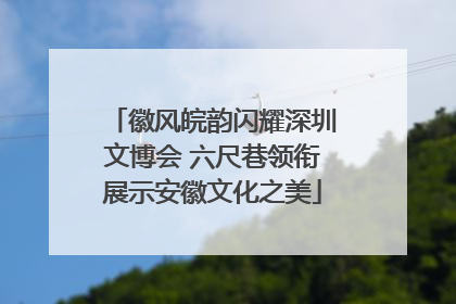 徽风皖韵闪耀深圳文博会 六尺巷领衔展示安徽文化之美