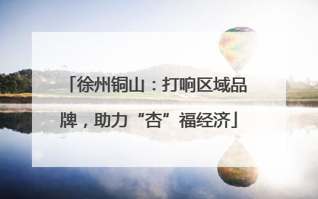徐州铜山：打响区域品牌，助力“杏”福经济
