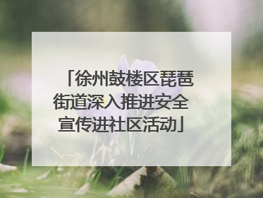 徐州鼓楼区琵琶街道深入推进安全宣传进社区活动